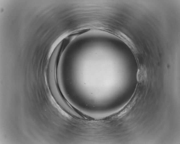 X0000065240812200602171422