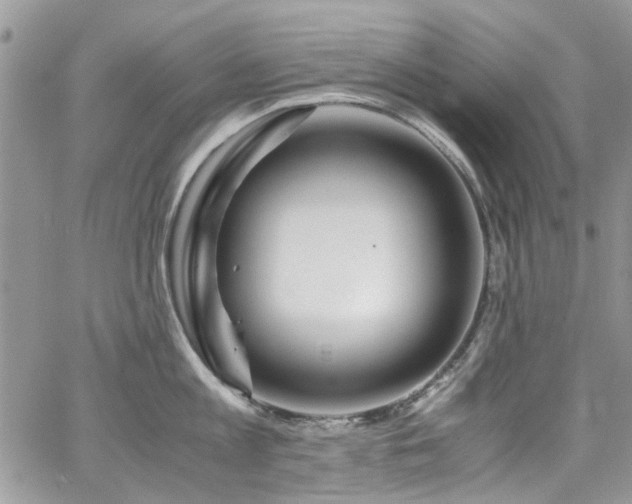 X0000065240813200602171422