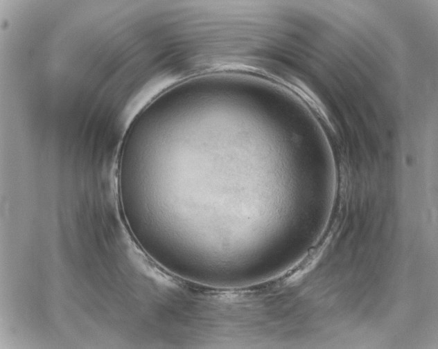 X0000065240814200602171422