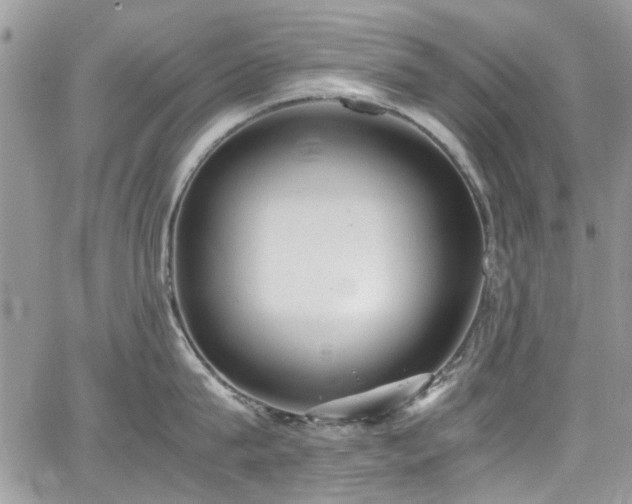 X0000065240815200602171422