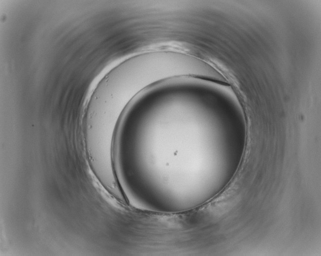 X0000065240816200602171422