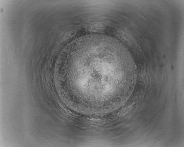 X0000065240817200602171421