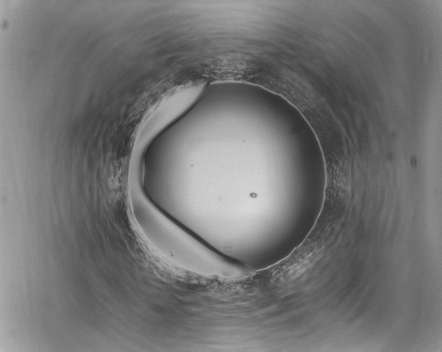 X0000065240818200602171421