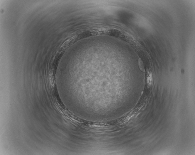 X0000065240819200602171421