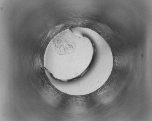 X0000065240820200602171421