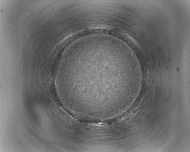 X0000065240821200602171421