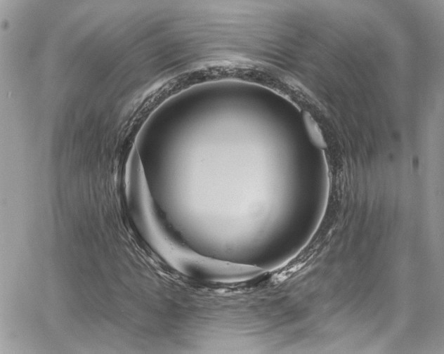 X0000065240822200602171421