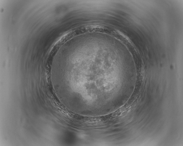 X0000065240823200602171421