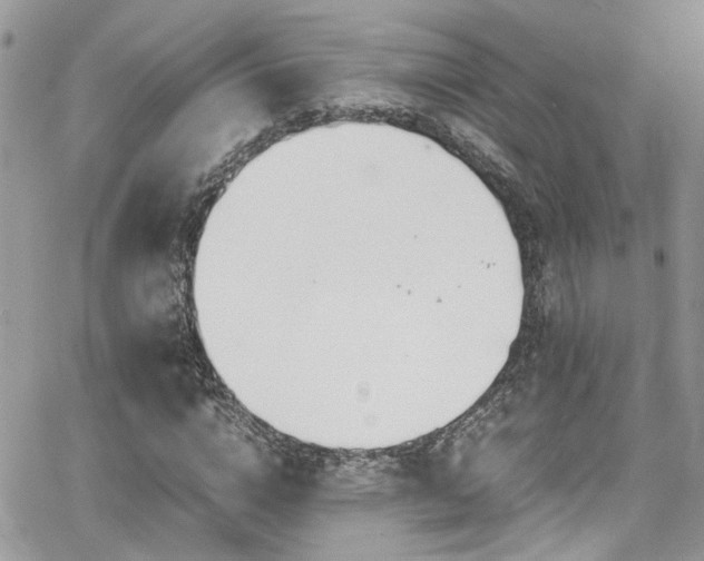 X0000065240824200602171421