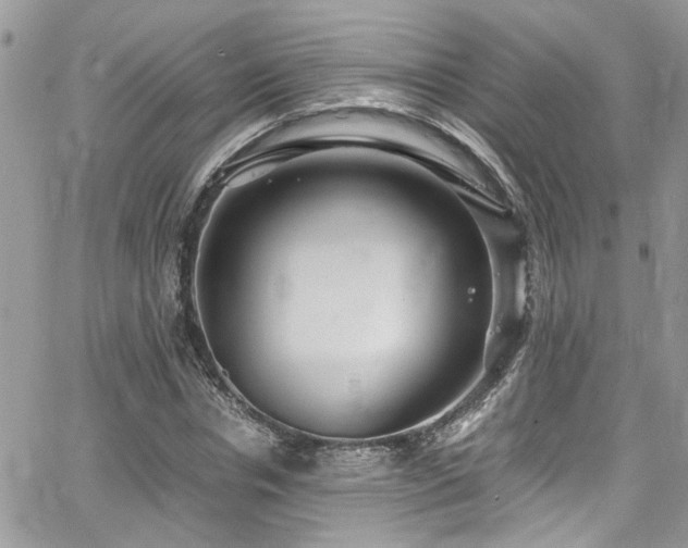 X0000065240826200602171422