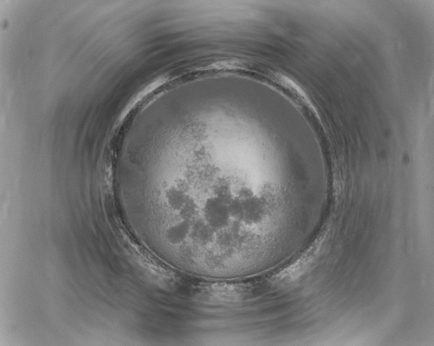 X0000065240827200602171422