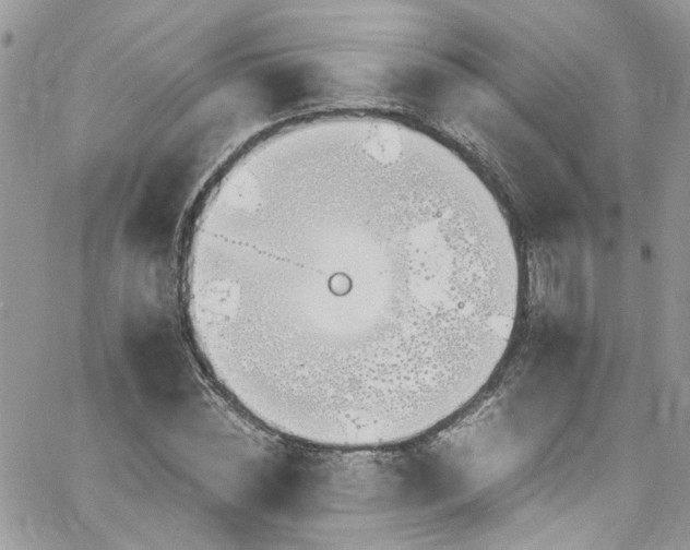 X0000065240828200602171422