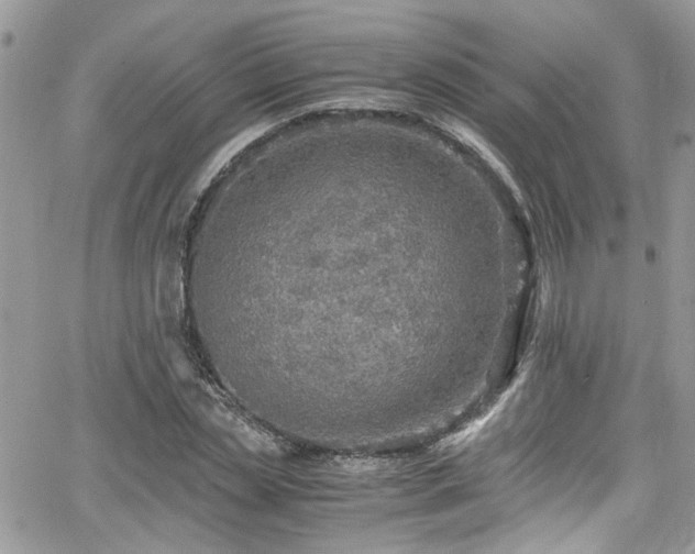 X0000065240829200602171422