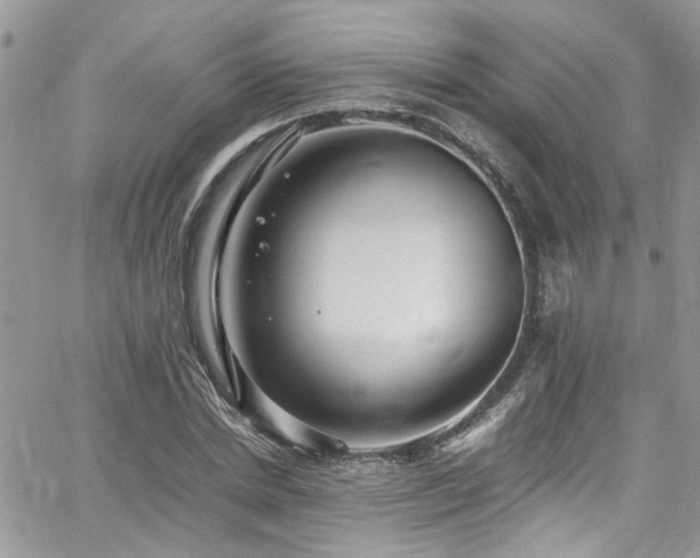 X0000065240830200602171422