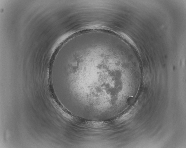 X0000065240831200602171422