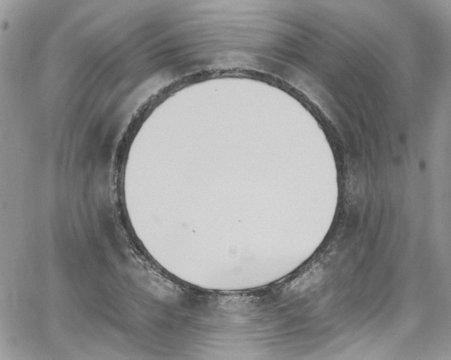 X0000065240832200602171422