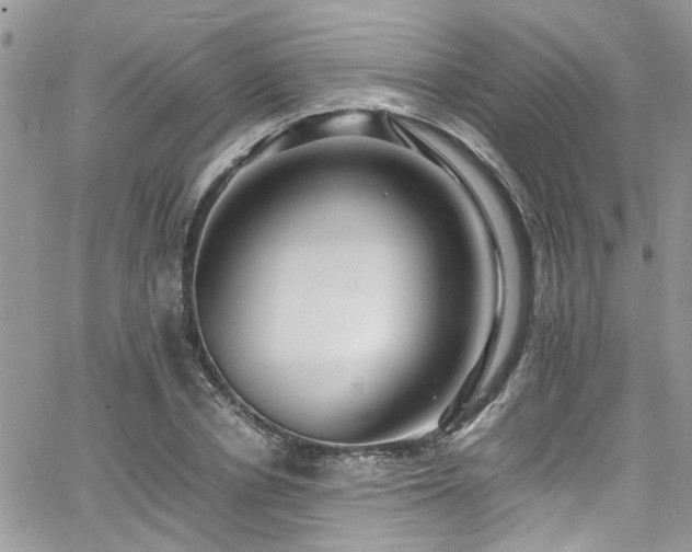 X0000065240834200602171422