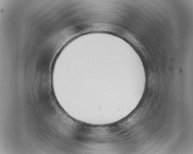 X0000065240836200602171422