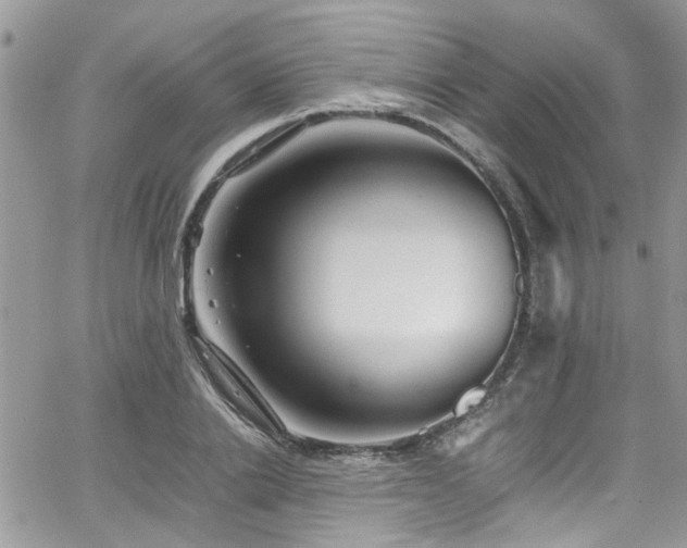 X0000065240838200602171422