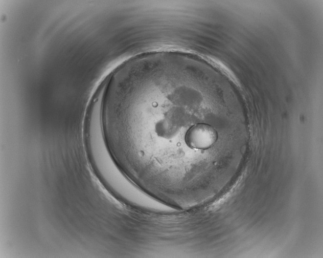 X0000065240839200602171422