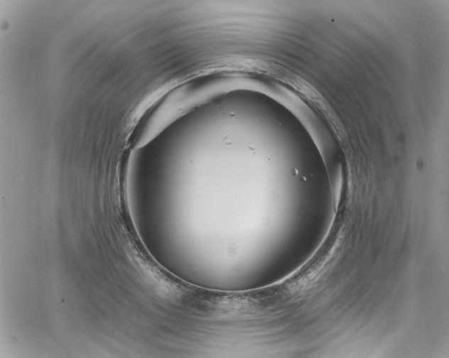 X0000065240842200602171422