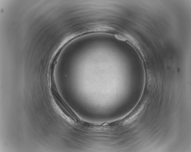 X0000065240843200602171422