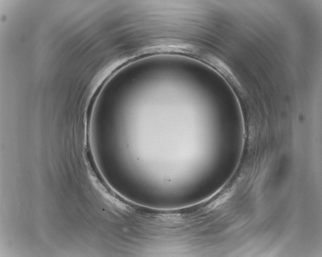 X0000065240844200602171422