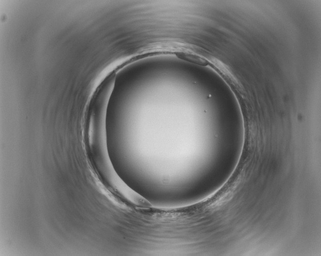 X0000065240846200602171422