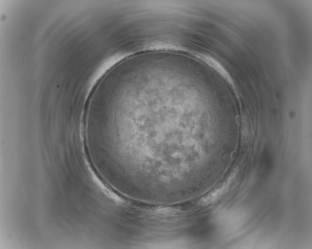 X0000065240847200602171422