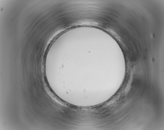 X0000065240848200602171422