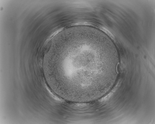 X0000065240849200602171422