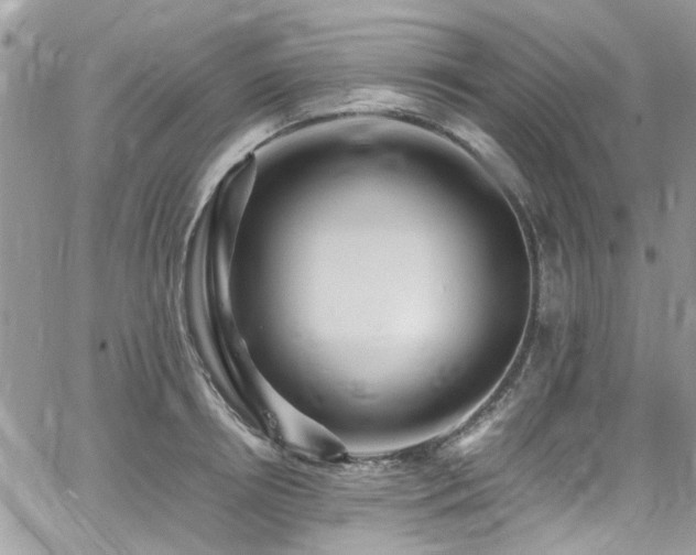 X0000065240850200602171422