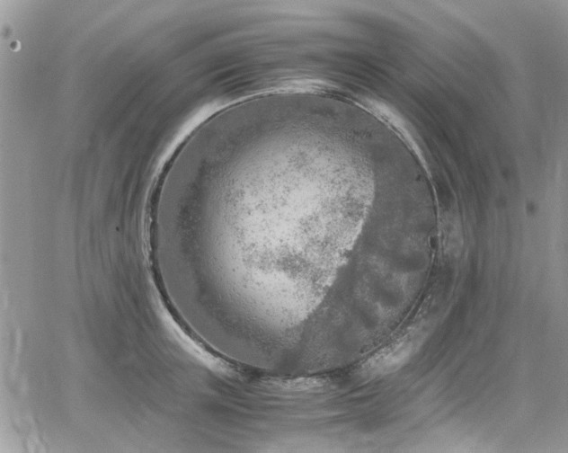 X0000065240851200602171422