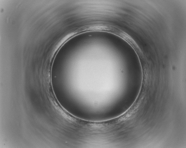 X0000065240852200602171422