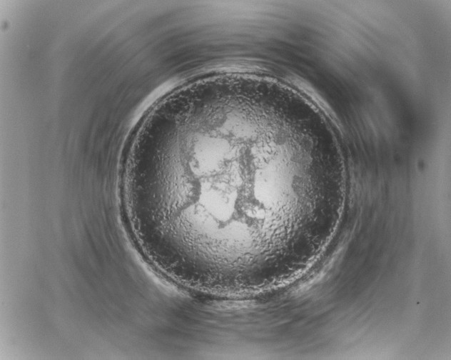 X0000065240853200602171422