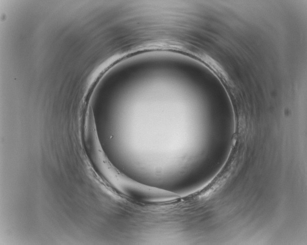 X0000065240854200602171422