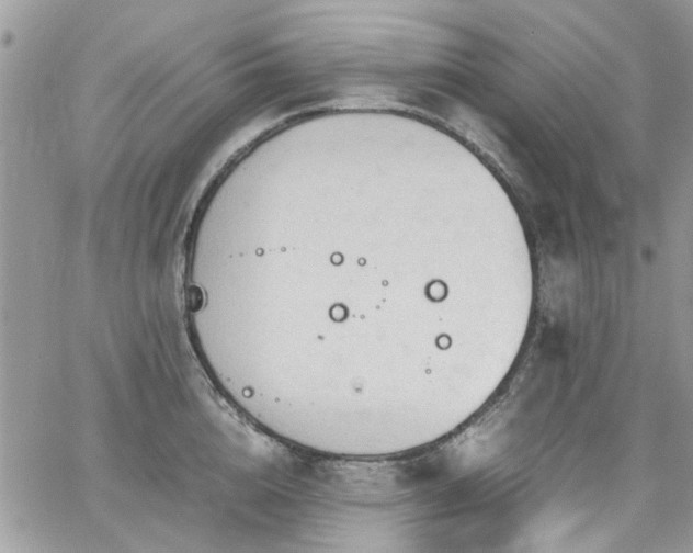 X0000065240856200602171422