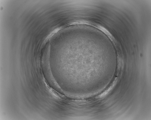 X0000065240857200602171422