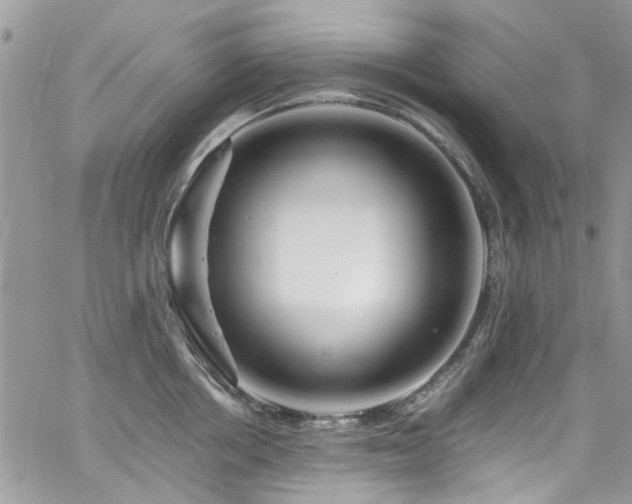 X0000065240858200602171422