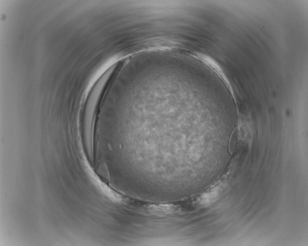 X0000065240859200602171422