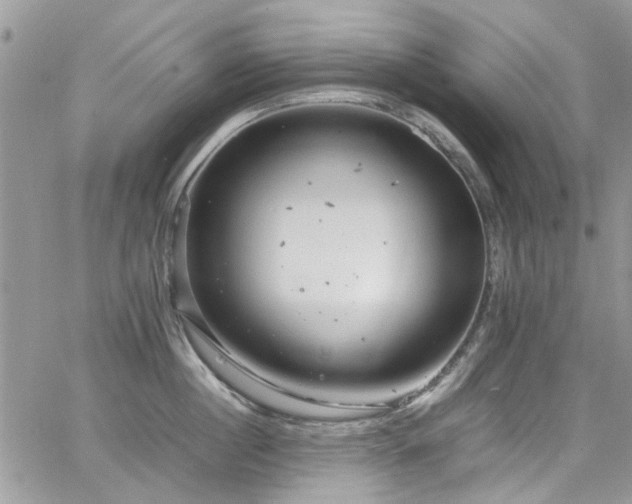 X0000065240860200602171422