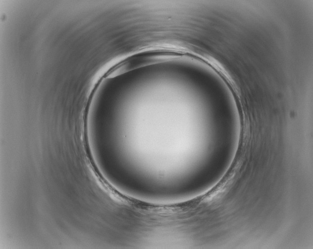 X0000065240862200602171422