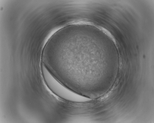 X0000065240863200602171422