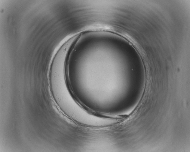 X0000065240864200602171422