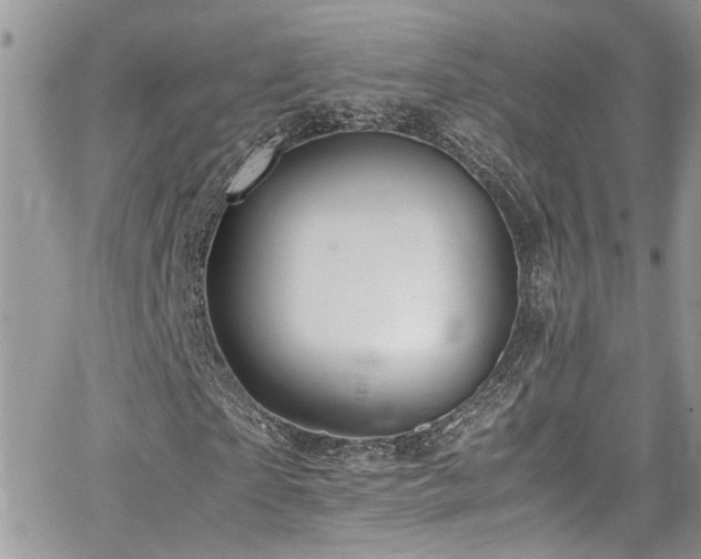 X0000065240865200602171421