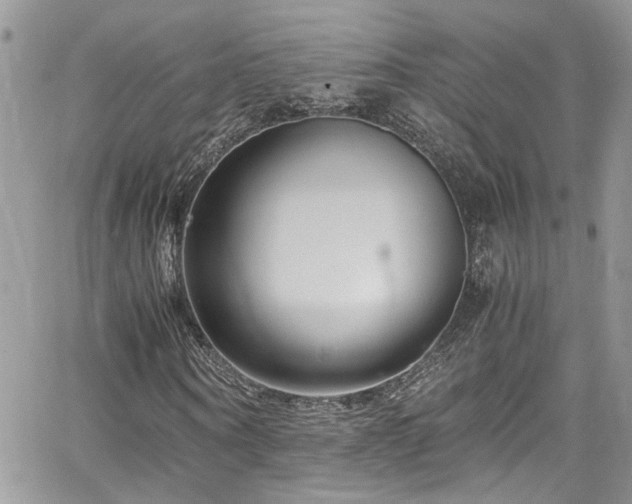 X0000065240866200602171421