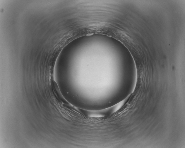 X0000065240868200602171421