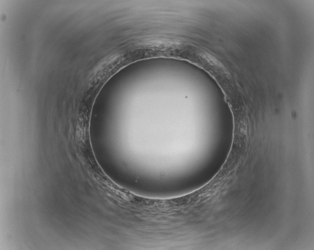 X0000065240869200602171421