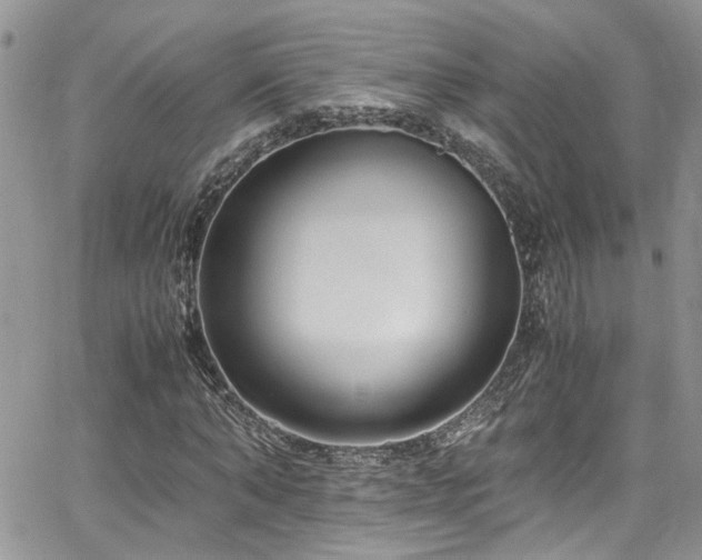 X0000065240870200602171421