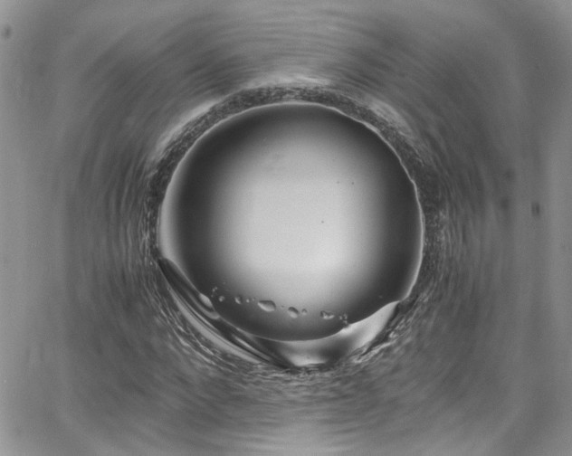 X0000065240872200602171421